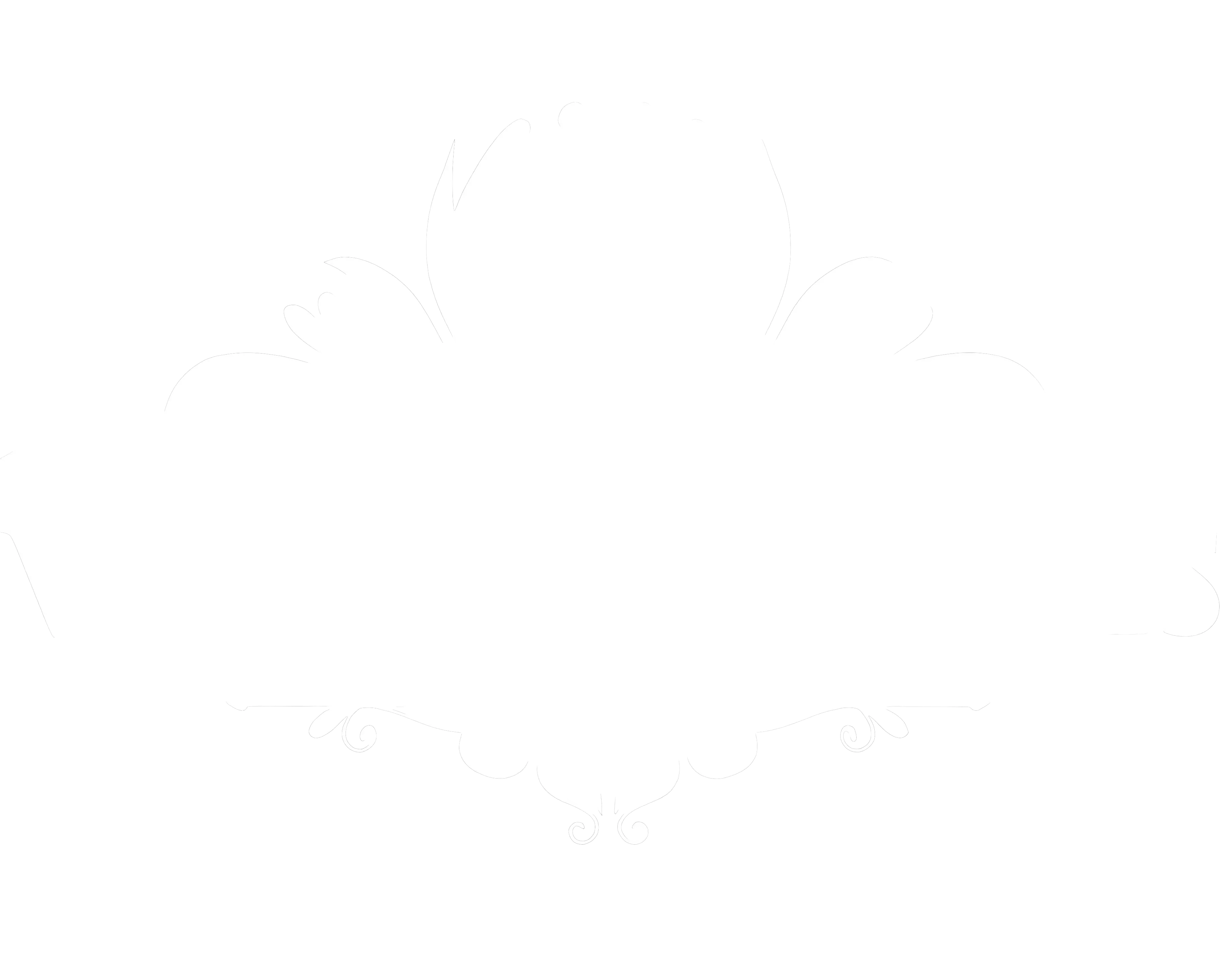 Villa Art Novis